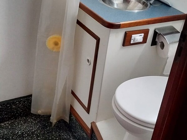 afbeelding-van-whatsapp-op-202